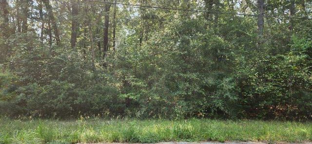 15218 Daniel Street, Magnolia, TX 77354