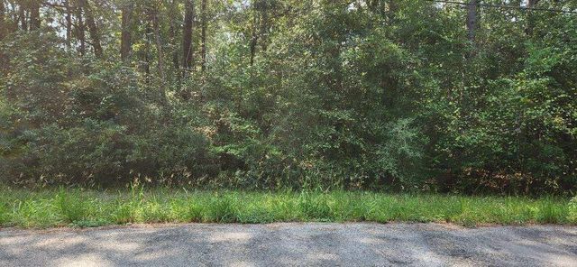 15218 Daniel Street, Magnolia, TX 77354