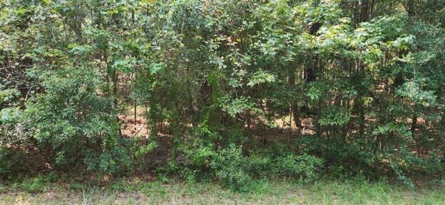 15218 Daniel Street, Magnolia, TX 77354