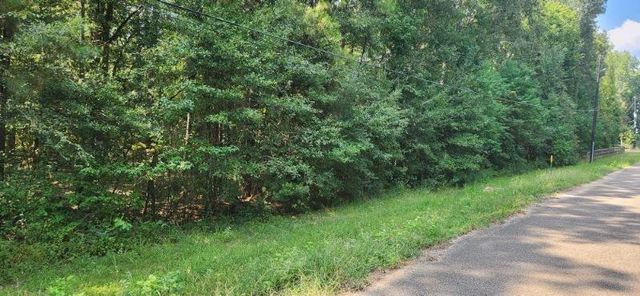 15218 Daniel Street, Magnolia, TX 77354