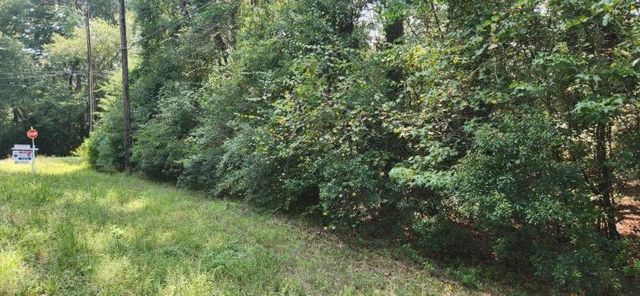 15218 Daniel Street, Magnolia, TX 77354