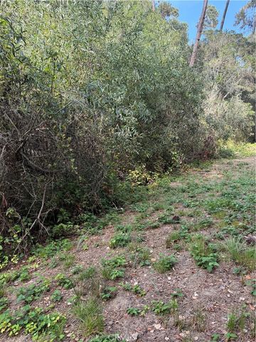 0 Sheffield Street, Cambria, CA 93428