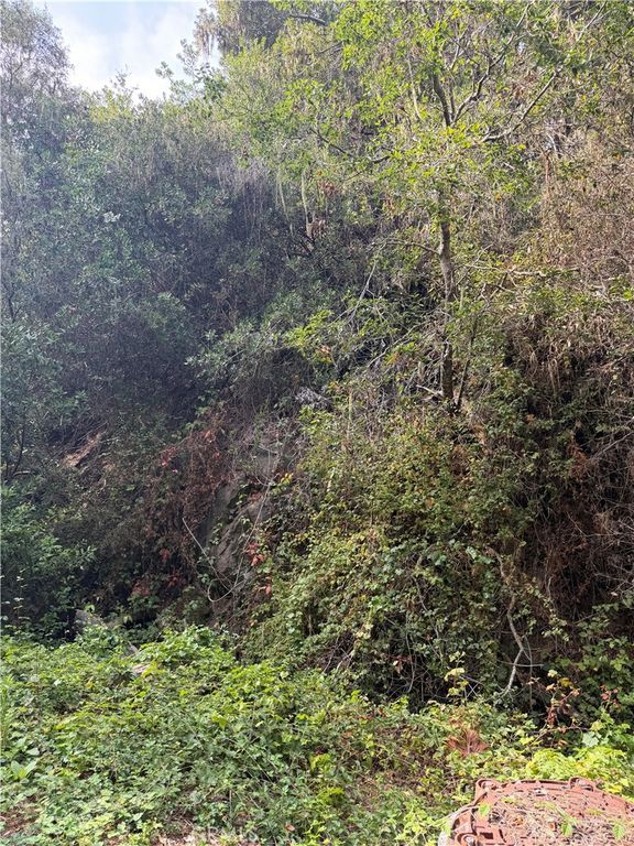 0 Sheffield Street, Cambria, CA 93428