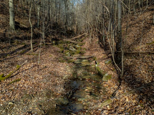 1528 KY-377, Vanceburg, KY 41179