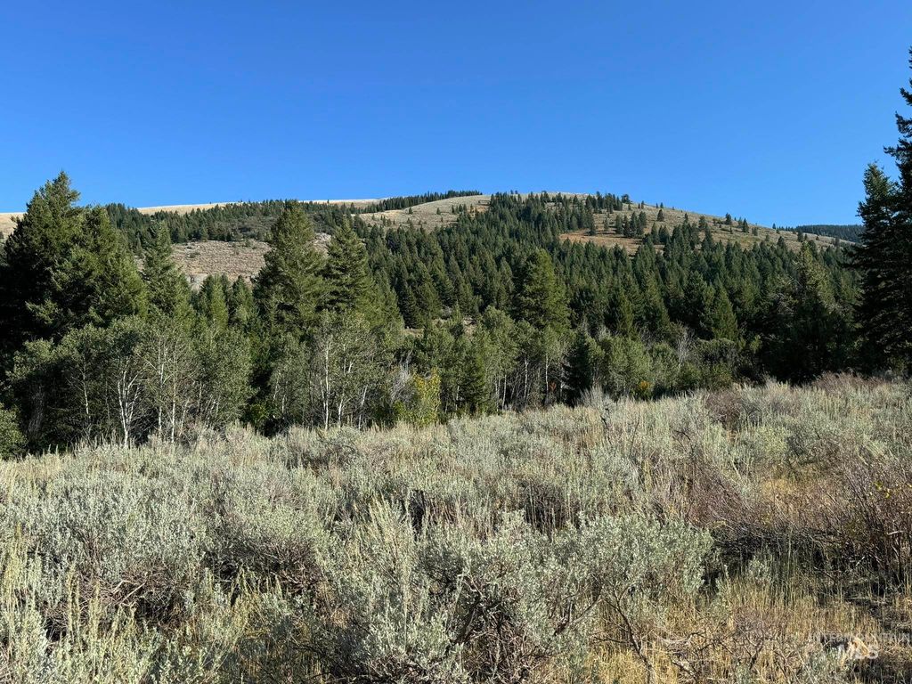 1200 S Lands Creek Road, Albion, ID 83311 photo 17