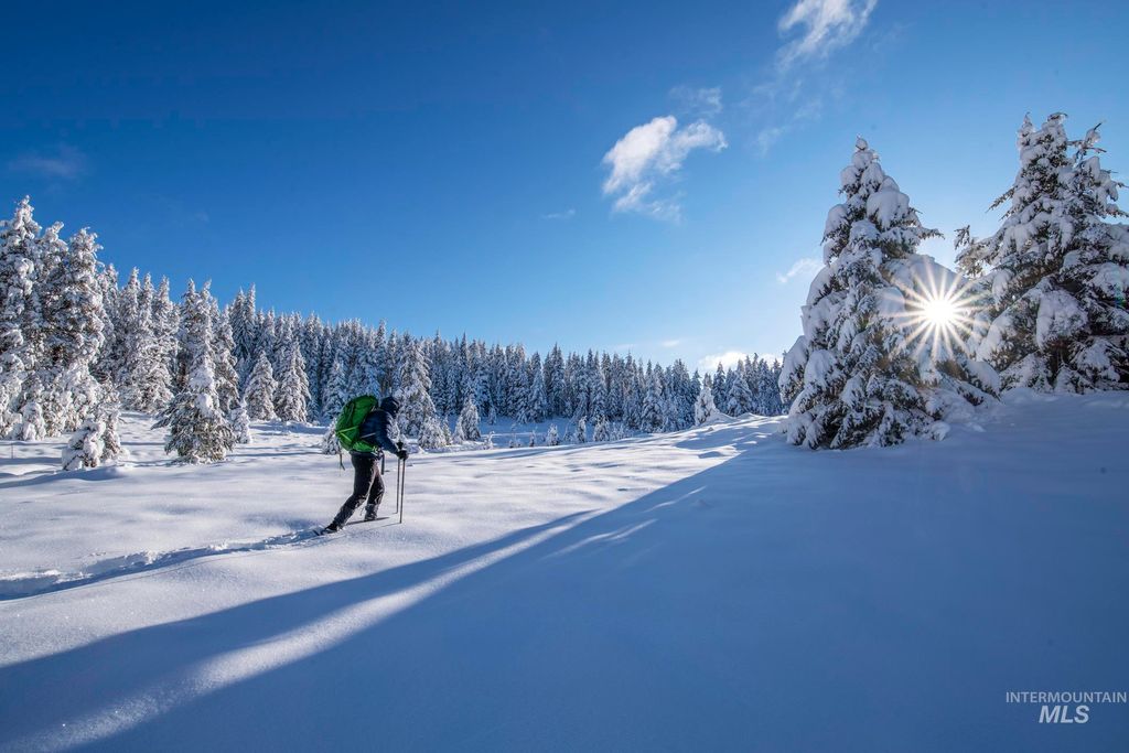 1200 S Lands Creek Road, Albion, ID 83311 photo 24