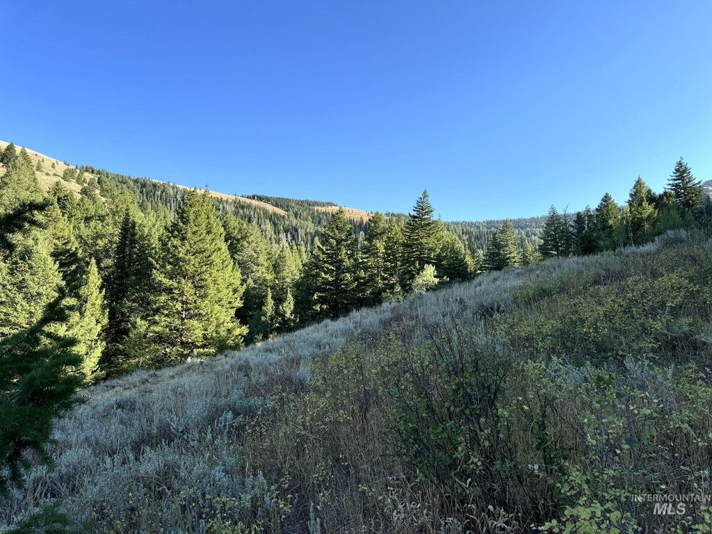 1200 S Lands Creek Road, Albion, ID 83311 photo 33