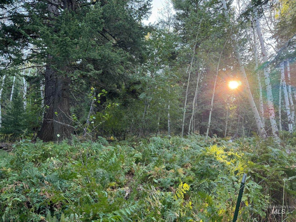 1200 S Lands Creek Road, Albion, ID 83311 photo 34