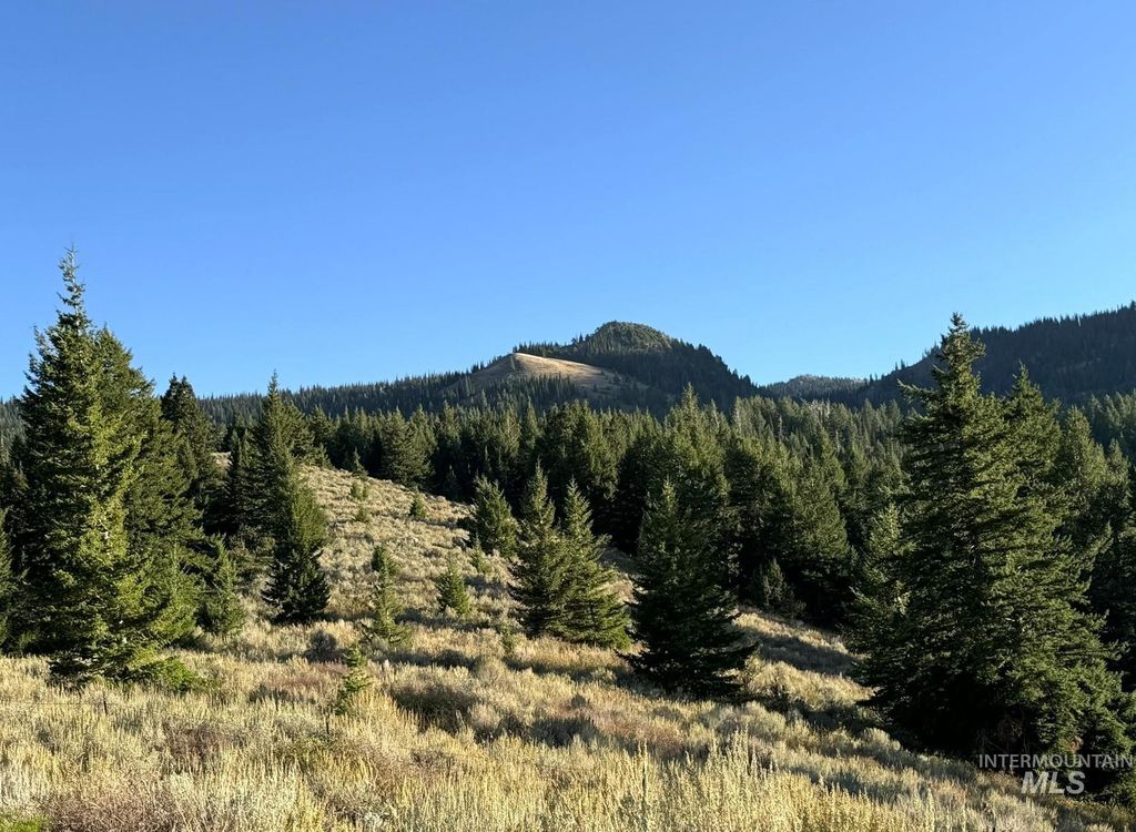 1200 S Lands Creek Road, Albion, ID 83311 photo 35