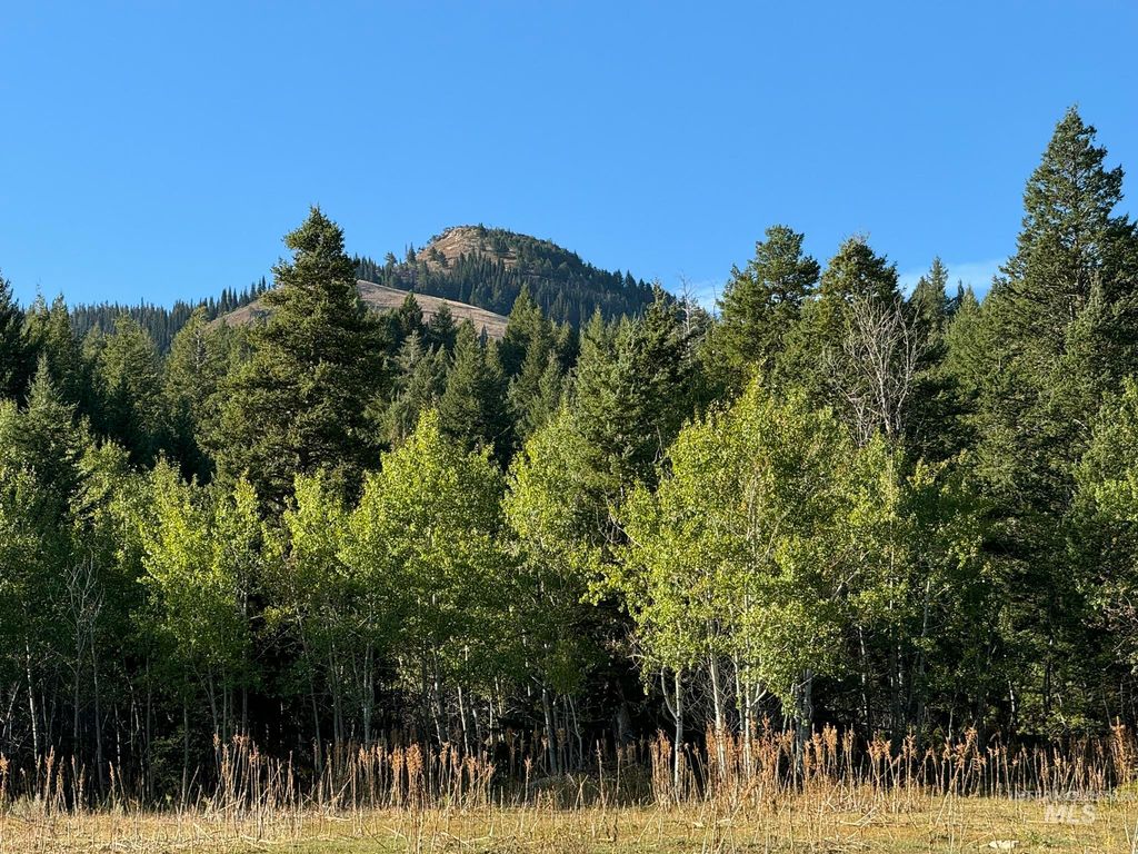 1200 S Lands Creek Road, Albion, ID 83311 photo 40