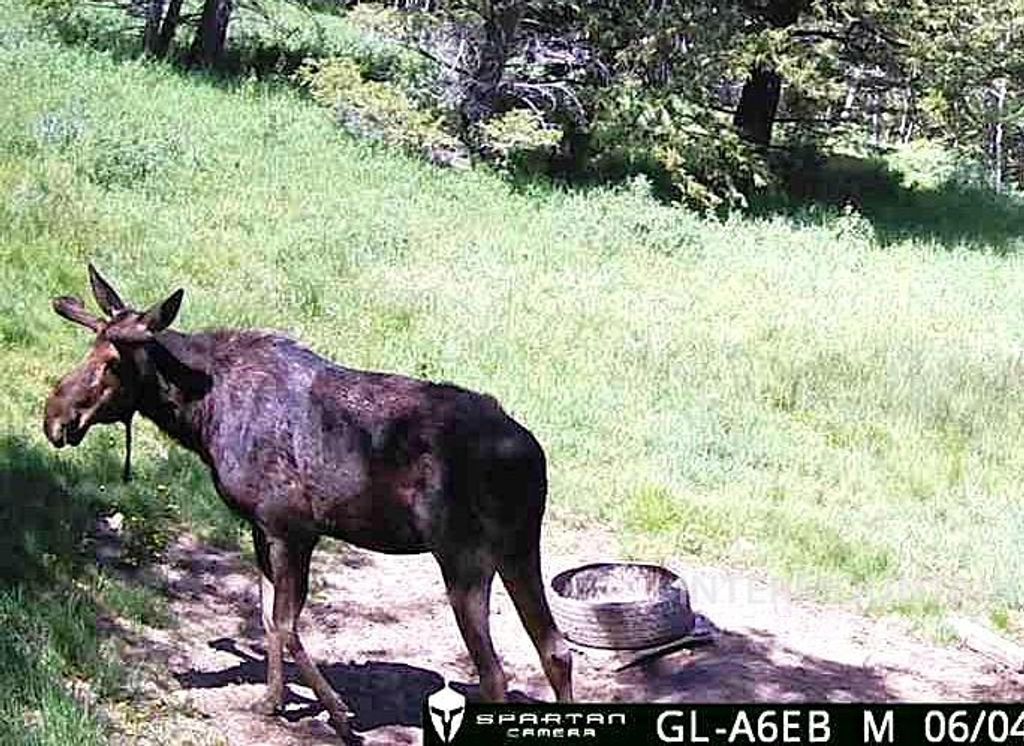 1200 S Lands Creek Road, Albion, ID 83311 photo 45