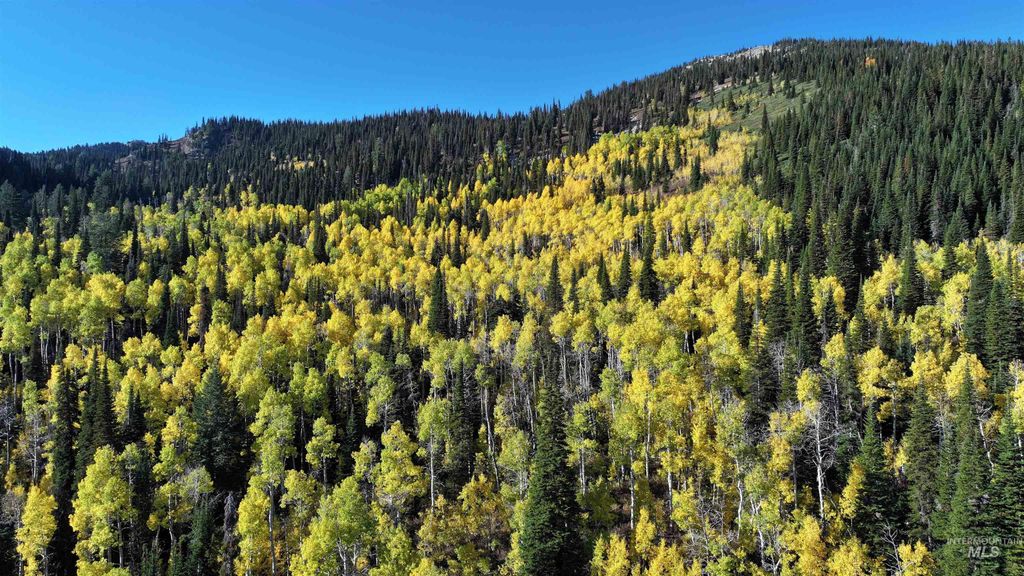 1200 S Lands Creek Road, Albion, ID 83311 photo 5