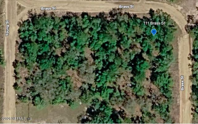 111 BRASS Street, Interlachen, FL 32148