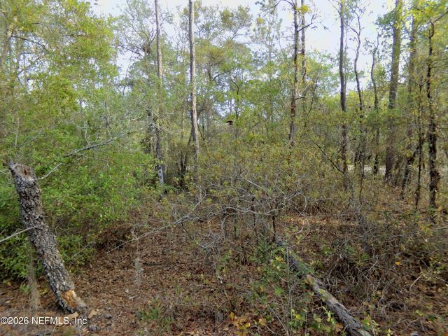 111 BRASS Street, Interlachen, FL 32148