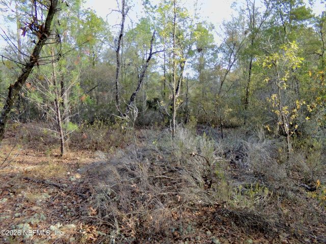 111 BRASS Street, Interlachen, FL 32148