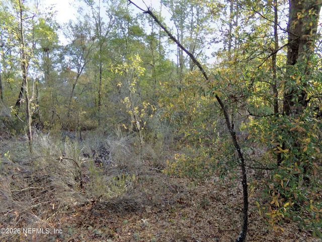 111 BRASS Street, Interlachen, FL 32148