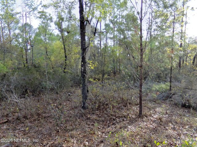 111 BRASS Street, Interlachen, FL 32148