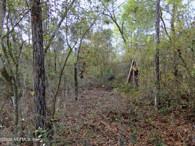 111 BRASS Street, Interlachen, FL 32148