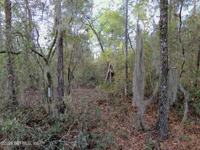 111 BRASS Street, Interlachen, FL 32148