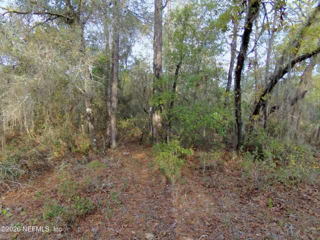 111 BRASS Street, Interlachen, FL 32148