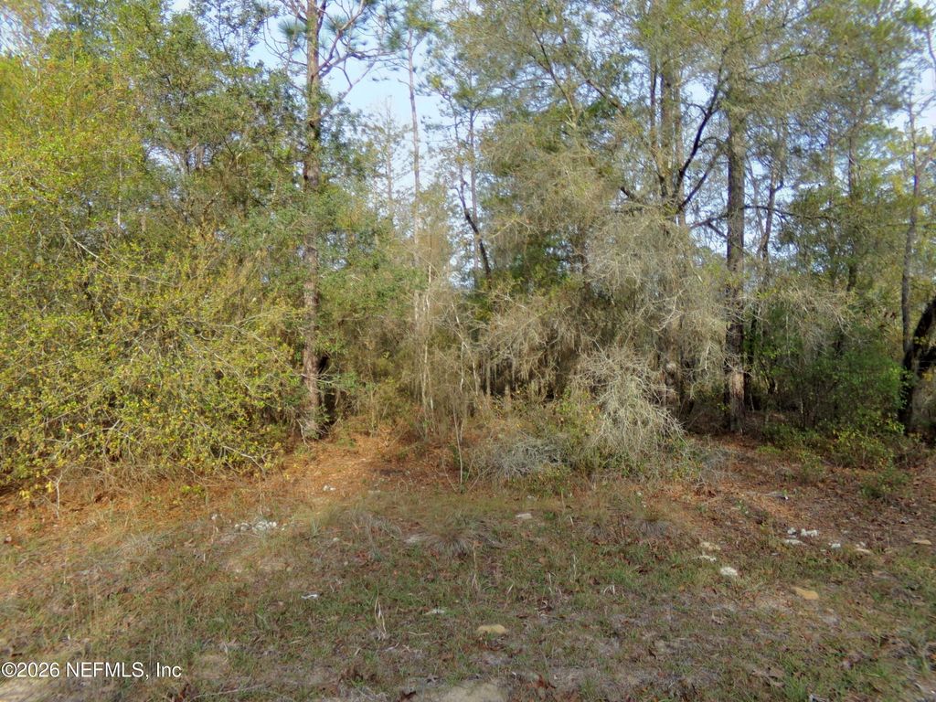 111 BRASS Street, Interlachen, FL 32148