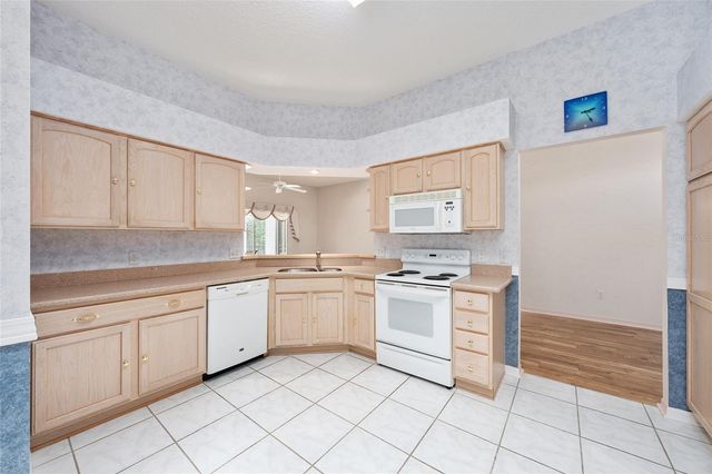 170 PALERMO PLACE, The Villages, FL 32159
