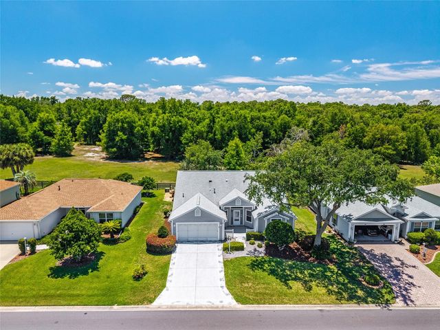 170 PALERMO PLACE, The Villages, FL 32159
