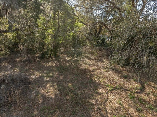 100 S OLD WIRE ROAD, Wildwood, FL 34785