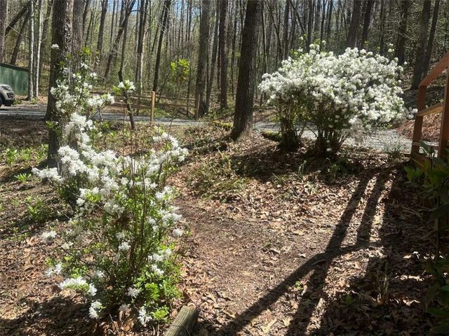 68 Star Lake Lane, Sautee Nacoochee, GA 30571