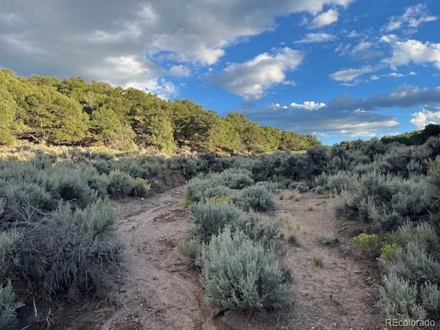 Lot 7222 Burnham Road, Fort Garland, CO 81133