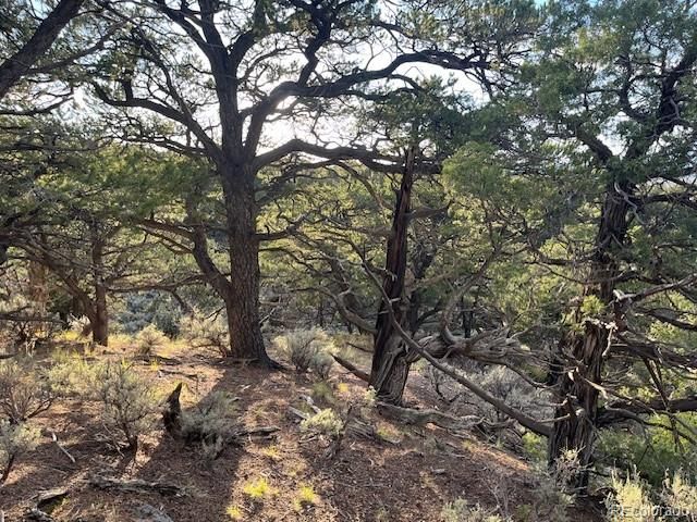 Lot 7222 Burnham Road, Fort Garland, CO 81133