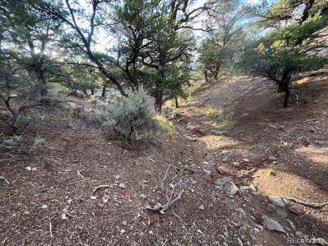 Lot 7222 Burnham Road, Fort Garland, CO 81133