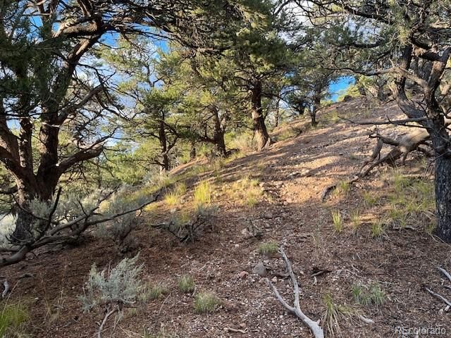 Lot 7222 Burnham Road, Fort Garland, CO 81133