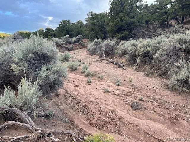 Lot 7222 Burnham Road, Fort Garland, CO 81133