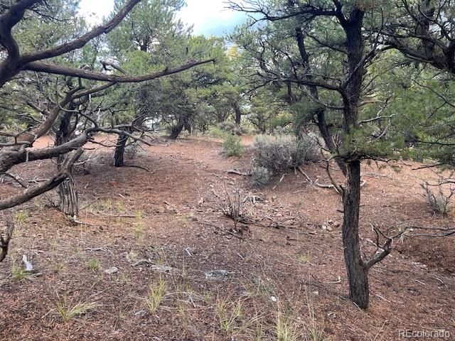 Lot 7222 Burnham Road, Fort Garland, CO 81133