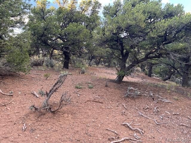 Lot 7222 Burnham Road, Fort Garland, CO 81133