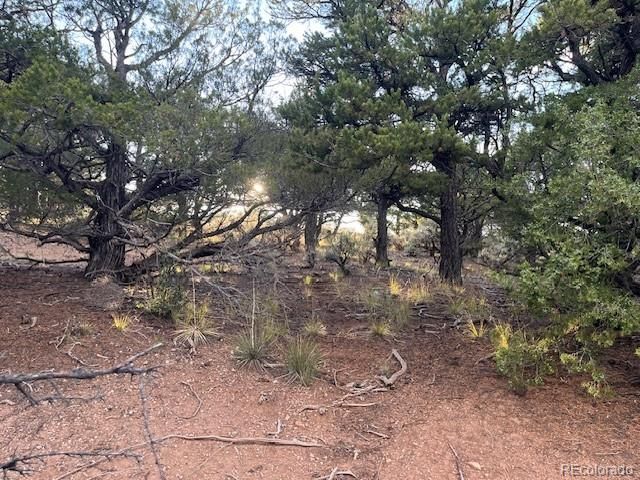 Lot 7222 Burnham Road, Fort Garland, CO 81133