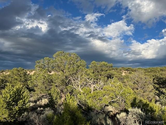 Lot 7222 Burnham Road, Fort Garland, CO 81133