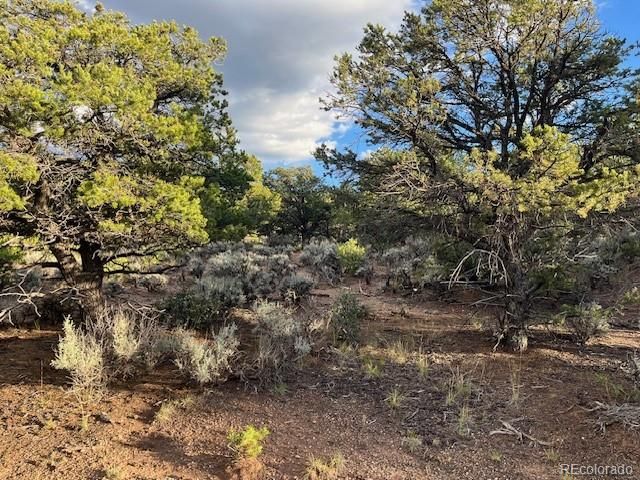 Lot 7222 Burnham Road, Fort Garland, CO 81133