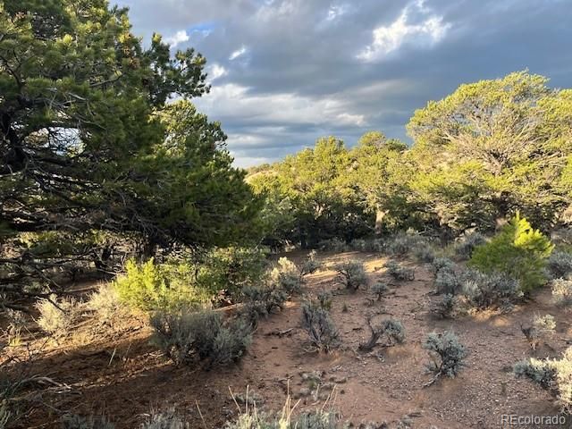 Lot 7222 Burnham Road, Fort Garland, CO 81133