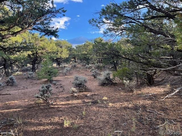 Lot 7222 Burnham Road, Fort Garland, CO 81133