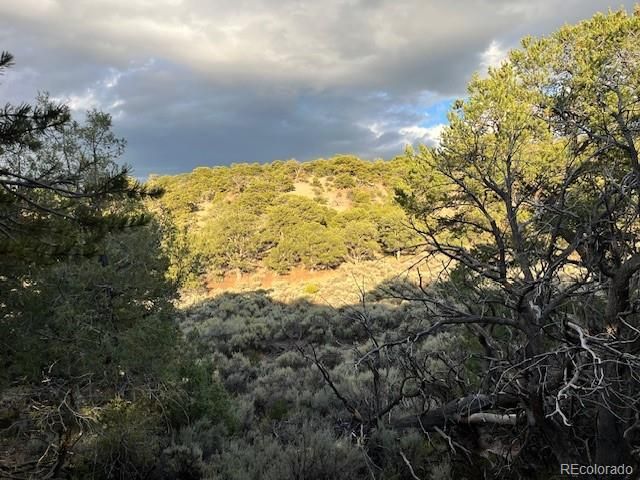 Lot 7222 Burnham Road, Fort Garland, CO 81133