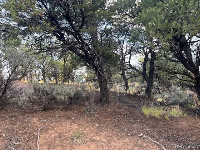 Lot 7222 Burnham Road, Fort Garland, CO 81133