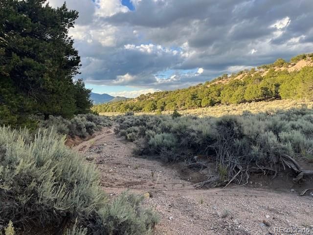 Lot 7222 Burnham Road, Fort Garland, CO 81133