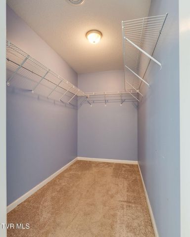 105 May Apple Drive, Bluff City, TN 37618