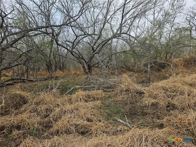 2026 3rd Street, Floresville, TX 78114