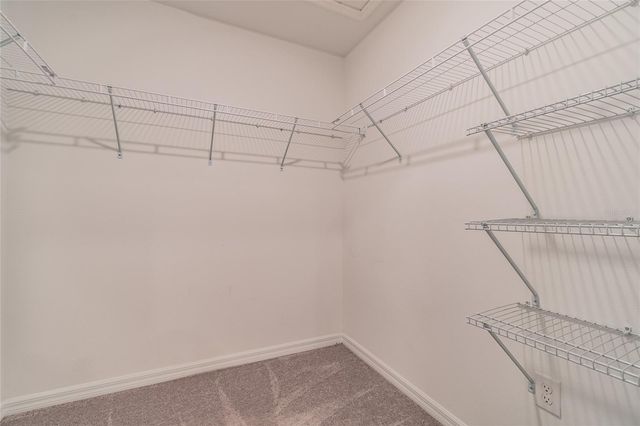 7221 SWEET ALYSSUM COURT, Tampa, FL 33619