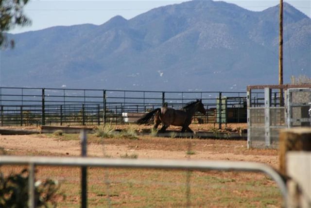 5 Wide View, Santa Fe, NM 87508