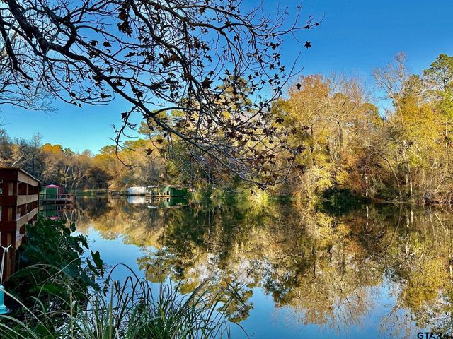 20489 W Grove Club Lake Rd., Whitehouse, TX 75791