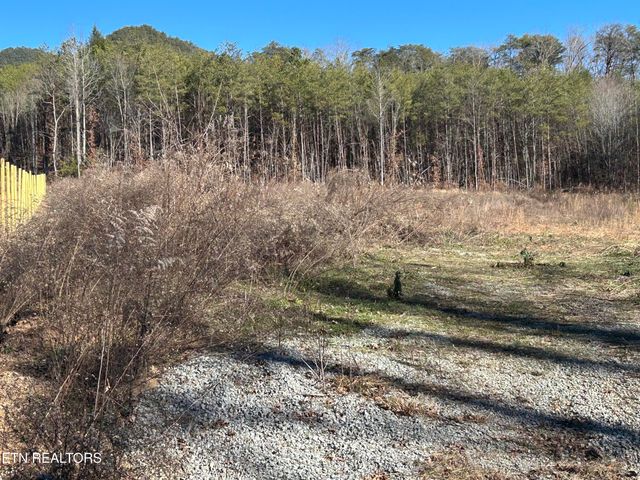 504 Wiggins Rd, Tellico Plains, TN 37385